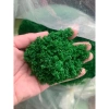 Bột Cỏ Rêu Nhựa Làm Lá Cây - Mảng Rêu, Rêu Sợi Nhựa Gai, Giá chỉ 12.000đ 10