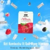 Bột Kombucha Quả mọng hỗn hợp 5g - Vị chua ngọt giải nhiệt, thơm mát, dễ pha 2