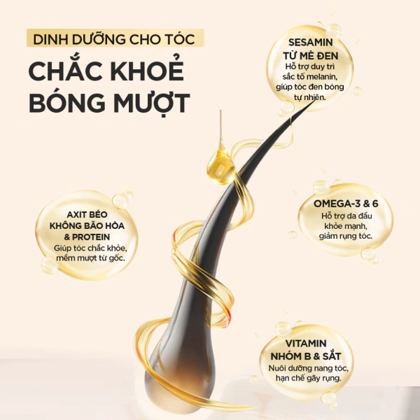 Công dụng dinh dưỡng của bột Ngũ Hắc Mè Đen Thi Yên cho tóc và giấc ngủ