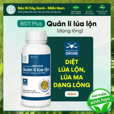 BS11 Plus Quản Lí Lúa Lộn Dạng Lỏng - Diệt Cỏ Lúa Ma, Không Ảnh Hưởng Lúa Sạ, Giá 240k