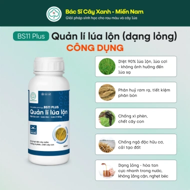 BS11 Plus Quản Lí Lúa Lộn Dạng Lỏng - Diệt Cỏ Lúa Ma, Không Ảnh Hưởng Lúa Sạ, Giá 240k 3