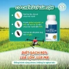 BS11 Plus Quản Lí Lúa Lộn Dạng Lỏng - Diệt Cỏ Lúa Ma, Không Ảnh Hưởng Lúa Sạ, Giá 240k 4