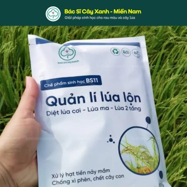 BS11 Quản Lí Lúa Lộn 500g - Diệt Cỏ Lúa, Ma Tiền Nảy Mầm, Bột, Bác Sĩ Cây Xanh, Giá 212.000 VND 2
