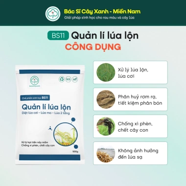 BS11 Quản Lí Lúa Lộn 500g - Diệt Cỏ Lúa, Ma Tiền Nảy Mầm, Bột, Bác Sĩ Cây Xanh, Giá 212.000 VND 3