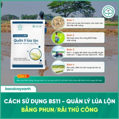 BS11 Quản Lí Lúa Lộn 500g - Diệt Cỏ Lúa, Ma Tiền Nảy Mầm, Bột, Bác Sĩ Cây Xanh, Giá 212.000 VND 5