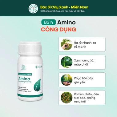 BS14 Amino Kích Đọt Dưỡng Cây Xanh Lá - Hấp Thu Nhanh, Ra Rễ Khoẻ, Giá Chỉ 62.000 VND 3