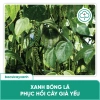 BS14 Amino Kích Đọt Dưỡng Cây Xanh Lá - Hấp Thu Nhanh, Ra Rễ Khoẻ, Giá Chỉ 62.000 VND 4