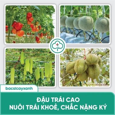 BS14 Amino Kích Đọt Dưỡng Cây Xanh Lá - Hấp Thu Nhanh, Ra Rễ Khoẻ, Giá Chỉ 62.000 VND 5