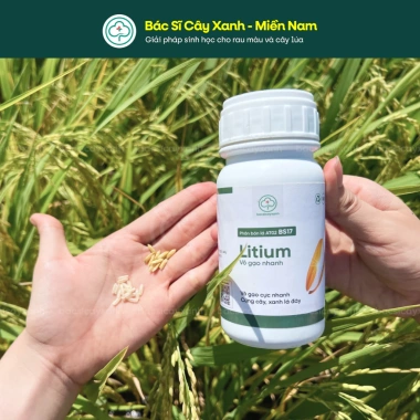 BS17 Litium Vô Gạo Nhanh Giữ Xanh Lá Đòng, Lúa Trổ Thoát Chắc Hạt, Bác Sĩ Cây Xanh, Giá 212.000 (giảm từ 269.240)