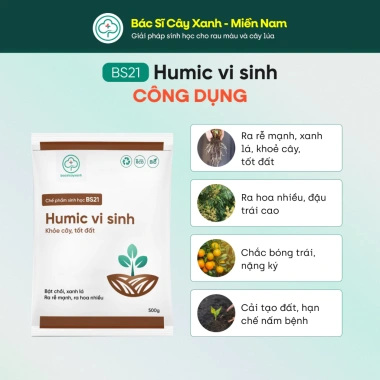 BS21 Humic Vi Sinh - Đất Tơi Xốp Giúp Cây Ra Rễ Đẻ Nhánh, Hấp Thu Dinh Dưỡng