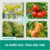BS21 Humic Vi Sinh - Đất Tơi Xốp Giúp Cây Ra Rễ Đẻ Nhánh, Hấp Thu Dinh Dưỡng 5