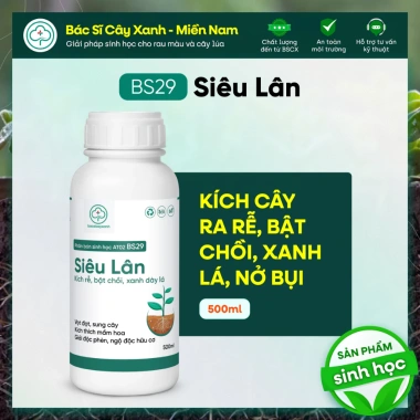 BS29 Siêu Lân - Ra Rễ, Đẻ Nhánh, Phục Hồi Cây, Tăng Hấp Thu Dinh Dưỡng
