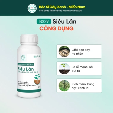 BS29 Siêu Lân - Ra Rễ, Đẻ Nhánh, Phục Hồi Cây, Tăng Hấp Thu Dinh Dưỡng 3