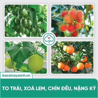 BS30 Đạm Cá Hữu Cơ Thuỷ Phân - Kích Rễ, Ra Hoa, Nuôi Trái, Dinh Dưỡng Cây Trồng 5
