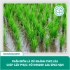 BS33 Siêu Lân AP – Kích rễ lúa, nở bụi đẻ nhánh, hạn chế nghẹt rễ, giá ưu đãi 186,120₫ 7