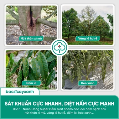 BS37 Nano Đồng Diệt Nấm Khuẩn - Lưu Dẫn Nhanh, Rửa Vườn, Tẩy Rong Rêu - Bác Sĩ Cây Xanh 226k