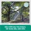 BS37 Nano Đồng Diệt Nấm Khuẩn - Lưu Dẫn Nhanh, Rửa Vườn, Tẩy Rong Rêu - Bác Sĩ Cây Xanh 226k 5