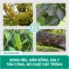 BS37 Nano Đồng Diệt Nấm Khuẩn - Lưu Dẫn Nhanh, Rửa Vườn, Tẩy Rong Rêu - Bác Sĩ Cây Xanh 226k 6