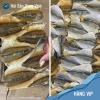 Cá chỉ vàng khô Quảng Ninh 500g 1kg - Giá chỉ 130k, mềm thịt, thơm ngon, HaiSanVungVinh 3