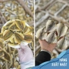 Cá chỉ vàng khô Quảng Ninh 500g 1kg - Giá chỉ 130k, mềm thịt, thơm ngon, HaiSanVungVinh 5
