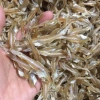Cá Cơm Khô Con Lớn Cà Mau Tự Nhiên - Giá Rẻ 69k Không Tẩy Trắng An Toàn 4