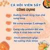 Cá hồi viên sấy khô cho chó mèo - Bổ sung Omega-3, lông mượt, giá chỉ 44.000₫ 2