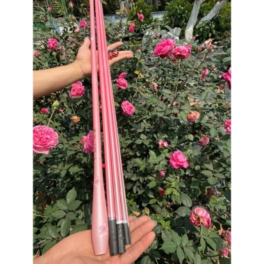 Cần Câu Đài Hoa Anh Đào 4h Rô Riếc Cảm Giác - Combo Câu Cá Tốt Giá 140k 6 Cần Câu Đài Hoa Anh Đào 4h Rô Riếc Cảm Giác - Combo Câu Cá Tốt Giá 140k 6