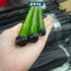 Cần Câu Tay Trúc Xanh Rút Gọn Nhẹ - Câu Cá Đài Giá Rẻ Chỉ 50K 9