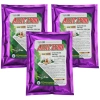 Cao Tỏi Allic ZyME 205k - Hỗ Trợ Tiêu Hóa Nhanh, Phòng Viêm Ruột, Chống Hơi, Sịnh Bụng, Phân Sương 4