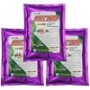 Cao Tỏi Allic ZyME 205k - Hỗ Trợ Tiêu Hóa Nhanh, Phòng Viêm Ruột, Chống Hơi, Sịnh Bụng, Phân Sương 5