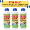 Cao Tỏi Zym Allic - Giá 230k - Tiêu hoá nhanh, phòng viêm ruột, chống hơi, giảm sưng