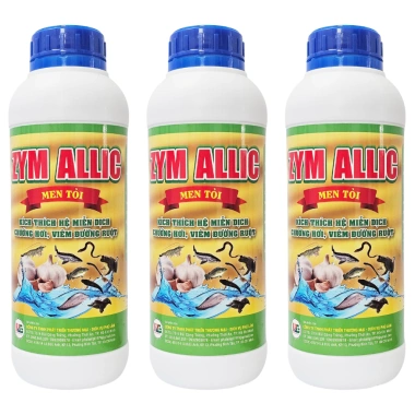 Cao Tỏi Zym Allic - Giá 230k - Tiêu hoá nhanh, phòng viêm ruột, chống hơi, giảm sưng 3