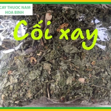 Cây cối xay 1kg khô sạch mới – Giá buôn 65.000đ, chỉ 79.300đ 3 Cây cối xay 1kg khô sạch mới – Giá buôn 65.000đ, chỉ 79.300đ 3
