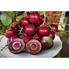Cây giống Nhãn Long Tím chuẩn - Giống độc lạ, trái tím ngọt thanh, 149.000 VND 7