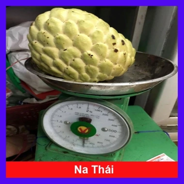 Cây Na Xiêm Na Thái cho trái siêu to khổng lồ, giảm còn 45.000₫