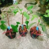 Cây Na Xiêm Na Thái cho trái siêu to khổng lồ, giảm còn 45.000₫ 7