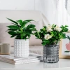 Chậu cây thủy canh AWNGD Chậu hoa tự tưới tháo rời nhựa trang trí văn phòng 5