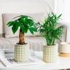 Chậu cây thủy canh AWNGD Chậu hoa tự tưới tháo rời nhựa trang trí văn phòng 8