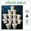 Chậu đất nung vẽ thủ công - Không bay màu, không trôi, giá chỉ 7.000₫