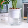 Chậu tự tưới hai lớp nhựa trong suốt – Hoa lười thủy canh, trang trí VN