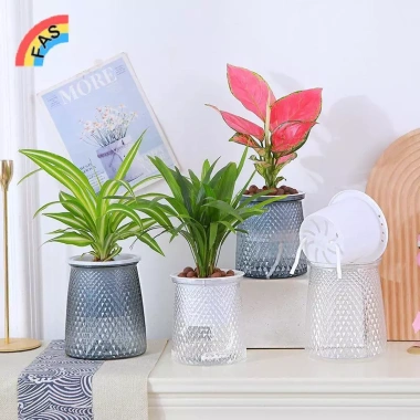 Chậu tự tưới hai lớp nhựa trong suốt – Hoa lười thủy canh, trang trí VN