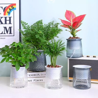 Chậu tự tưới hai lớp nhựa trong suốt – Hoa lười thủy canh, trang trí VN