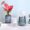 Chậu tự tưới hai lớp nhựa trong suốt – Hoa lười thủy canh, trang trí VN 5