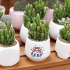 Chậu xương rồng & sen đá mix sẵn để bàn - Tiệm cây xanh lá - Giá ưu đãi 70.000₫ 2