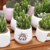 Chậu xương rồng & sen đá mix sẵn để bàn - Tiệm cây xanh lá - Giá ưu đãi 70.000₫ 4