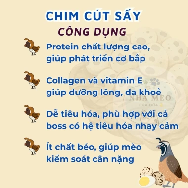Chim cút sấy khô cho chó mèo: giảm rụng lông, lông mượt sáng, giá ưu đãi 49.6k 2