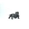 Chó Bull Đặt Tablo - Đồ Chơi Thú Cưng Giá Rẻ, Giảm Đặc Biệt 99.000₫ 5