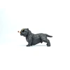 Chó Bull Đặt Tablo - Đồ Chơi Thú Cưng Giá Rẻ, Giảm Đặc Biệt 99.000₫ 6