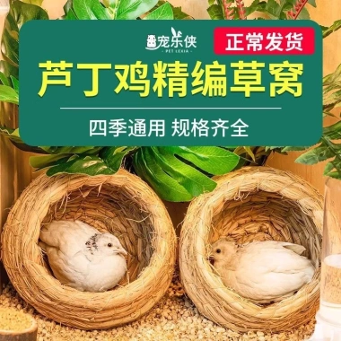 Chuồng Gà Rutin Luding - Gà Tổ Cỏ, Trứng Đẻ, Ống Hút Ấm, Đồ Dùng Tổ Chim 3