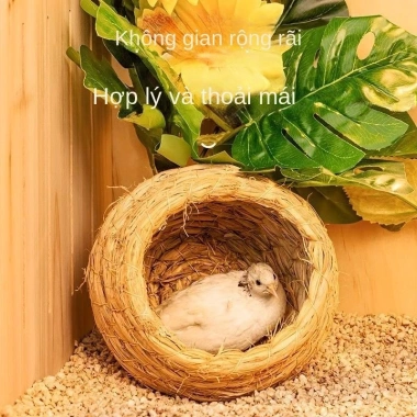 Chuồng Gà Rutin Luding - Gà Tổ Cỏ, Trứng Đẻ, Ống Hút Ấm, Đồ Dùng Tổ Chim 4